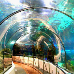 túnel del aquarium de barcelona